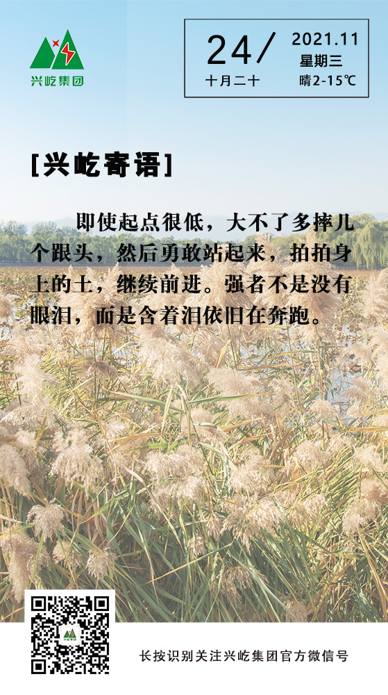 ƶϷapp11.24.jpg